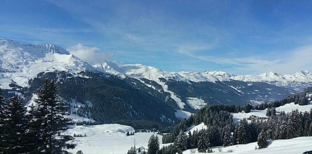 Hotel Staetzerhorn Parpan Kültér fotó